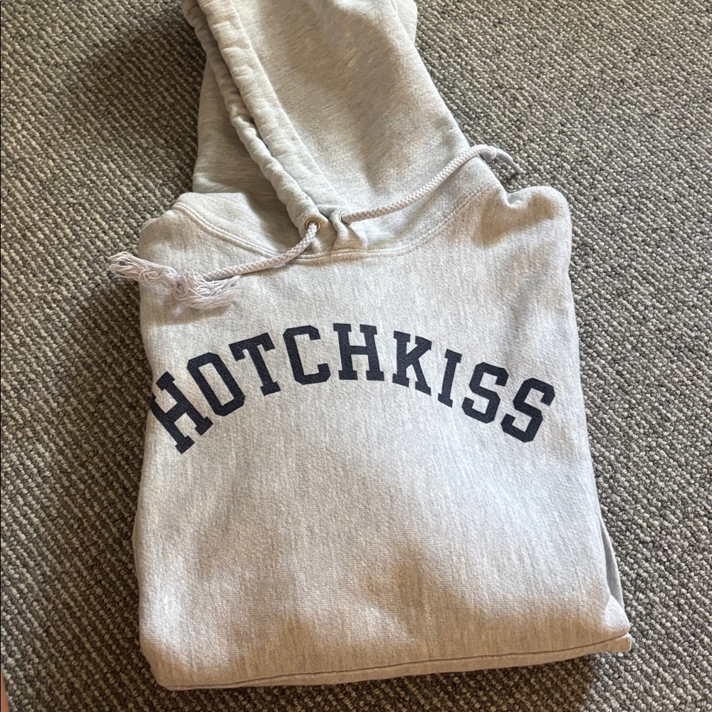 Champion Light Gray Hoodie